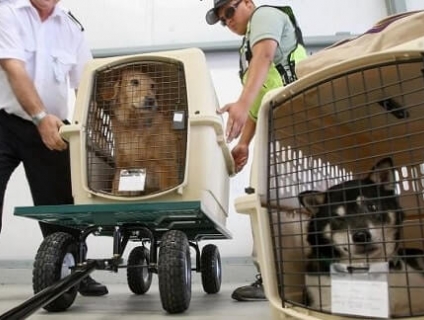 HÀNH LÝ ĐẶC BIỆT VIETNAMAIRLINES