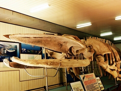 Top 15 địa điểm du lịch tại Nha Trang hấp dẫn du khách