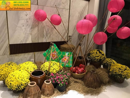 Dịch vụ trang trí tiểu cảnh ngày tết cho văn phòng