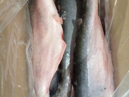 Cần bán cá basa cắt đầu, basa cắt khúc phân phối sỉ lẻ giá tốt