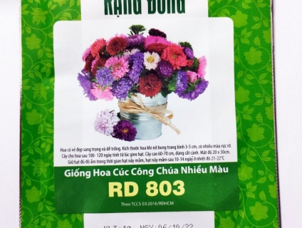 Hạt giống Hoa Cúc công chúa nhiều màu RD 803 Rạng Đông