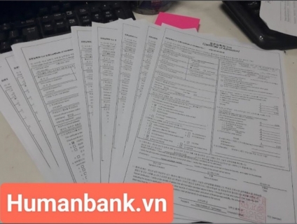 Du học Hàn Quốc