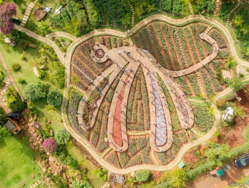 Cùng SGC TOURIS Đi Khám Phá Các Vùng Đất Mới Tại Đà Lạt Nào