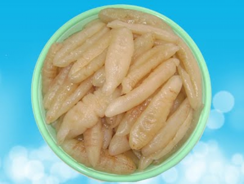 Bán Hải Sâm tại Hà Nội, Hải Sâm KingSea