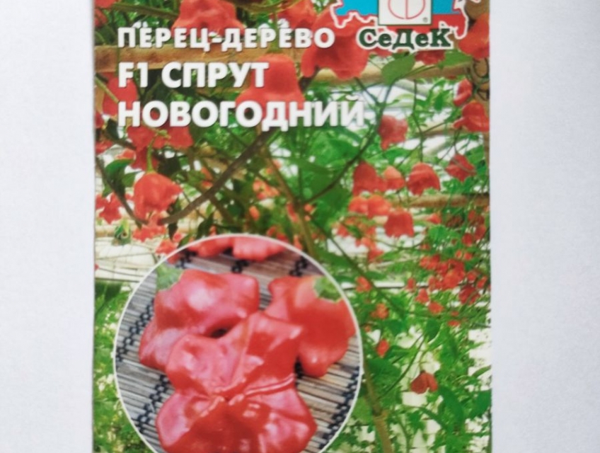 Hạt giống Ớt chuông hoa hồng chua ngọt leo giàn F1