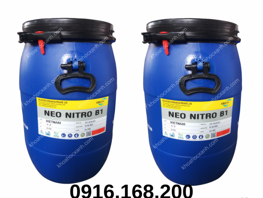 NEO NITRO B1: Vi sinh bột xử lý đáy ao