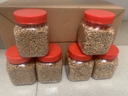 Hạt giống cỏ lúa mì giá tốt nhất hệ thống