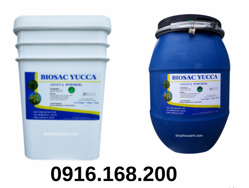 BIOSAC YUCCA – Yucca bột