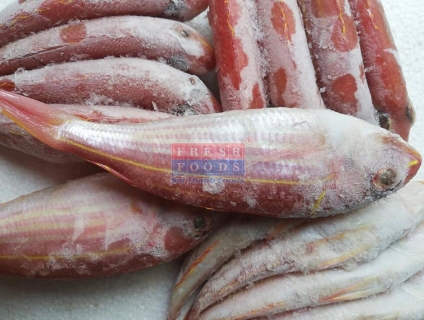 Cá đổng cờ size 100-200gr/con