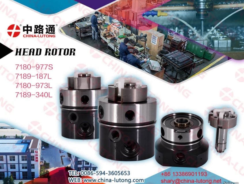 7180-611W dpa head rotor 10 mm for lucas pump head 3 cylinder