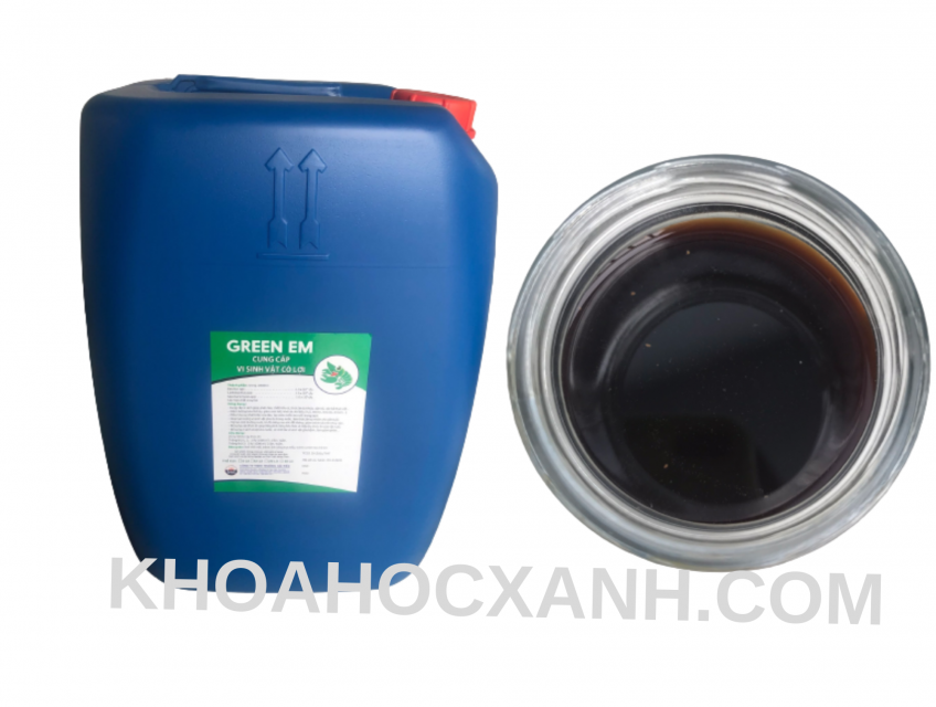 GREEN EM – Chế phẩm sinh học EM