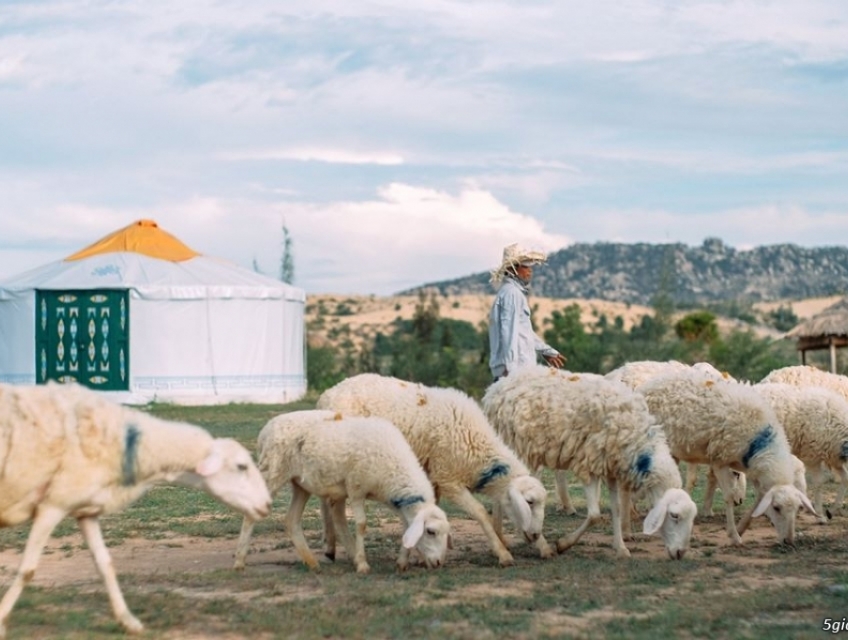 Thiên Đường Mang Tên Ninh Chữ Đẹp Quên Lối Về