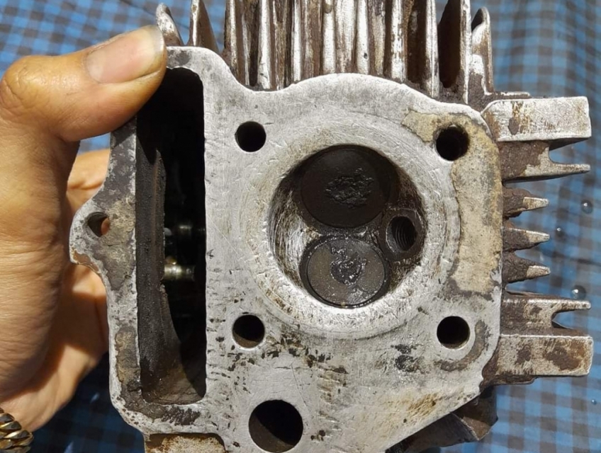 Vỏ đầu Wave Thái 110 cỏ