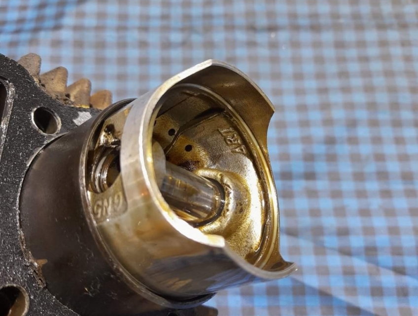 Lòng Dream Thái cos 0 STD trái Zin