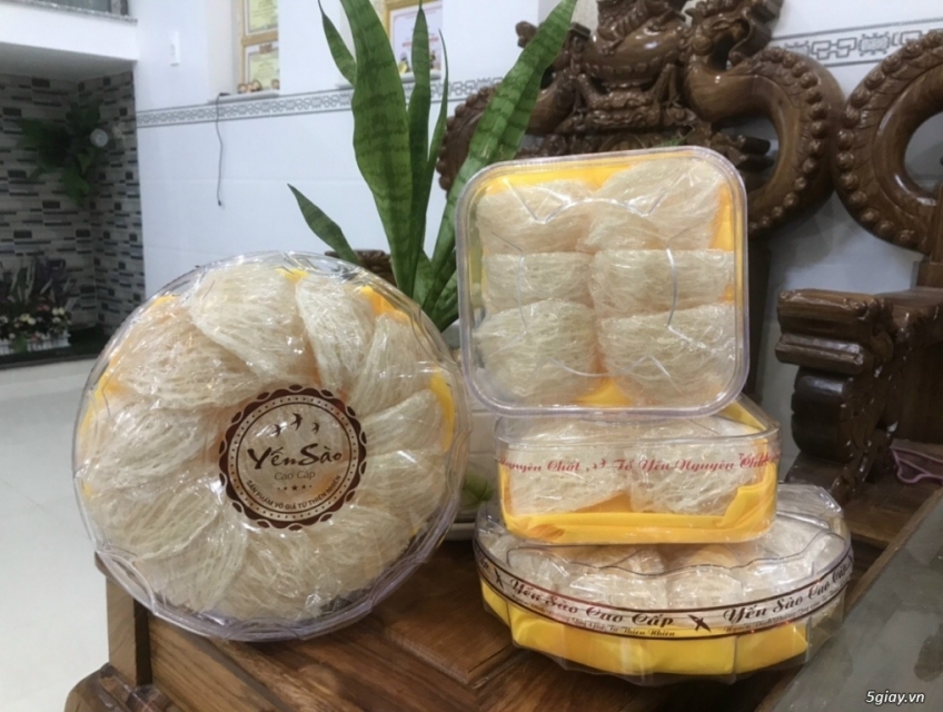 YẾN THÔ & YẾN TINH CHẾ TẠI TP.HCM