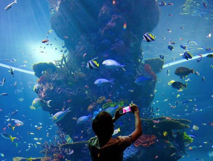 Du lịch Singapore 2023 xu hướng nổi bật