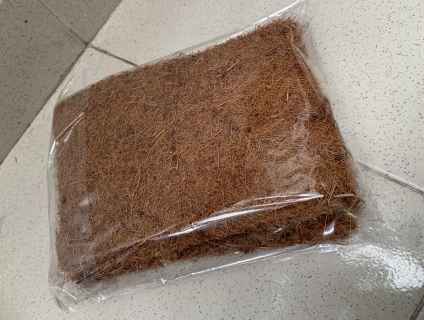 Sơ dừa lót đáy chậu