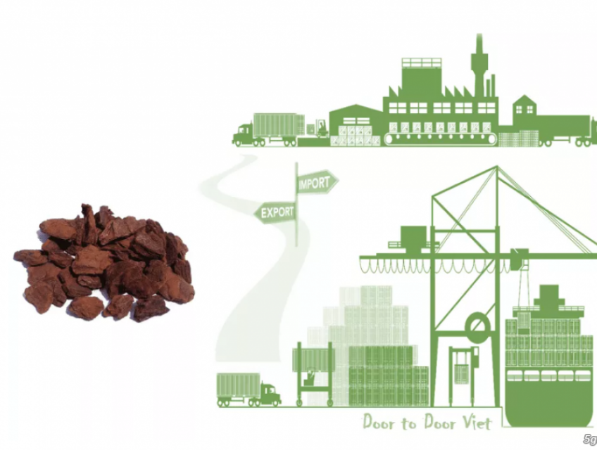 Thủ tục nhập khẩu vỏ thông orchiata