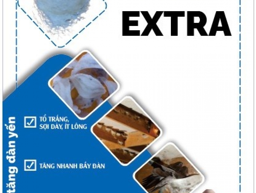 Men Vi sinh Bio Extra: Bí quyết tăng nhanh bầy đàn nhà yến hiệu quả