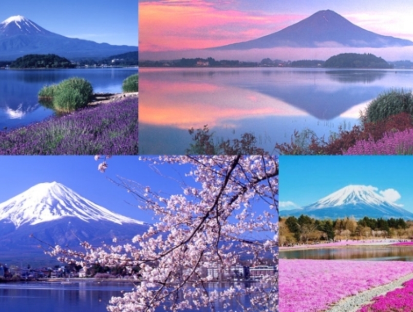 Núi Phú Sĩ – 4 mùa