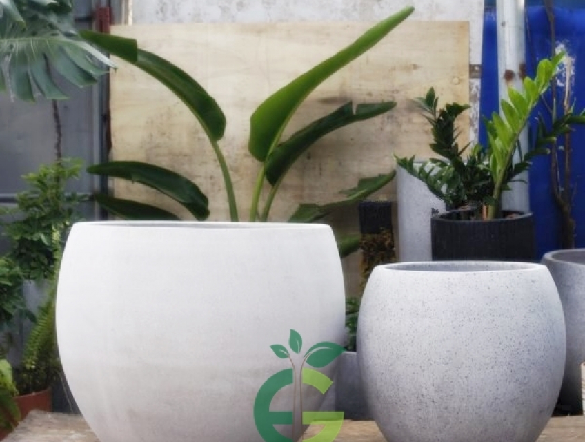 Chậu Xi Măng Nhẹ Dáng Lu Tròn