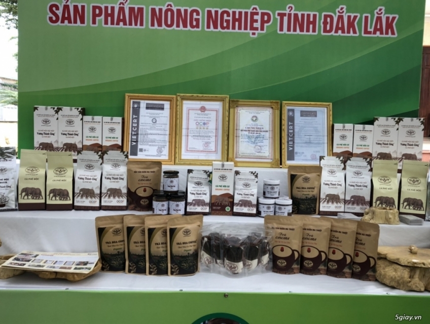 Algeria – thị trường tiềm năng cho cà phê Việt Nam