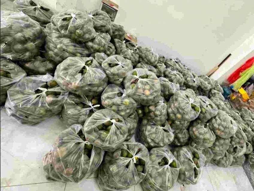 Rau Má Sì Gòn giải cứu cam sành Vĩnh Long - Mua 1 ly size L tặng 1kg c