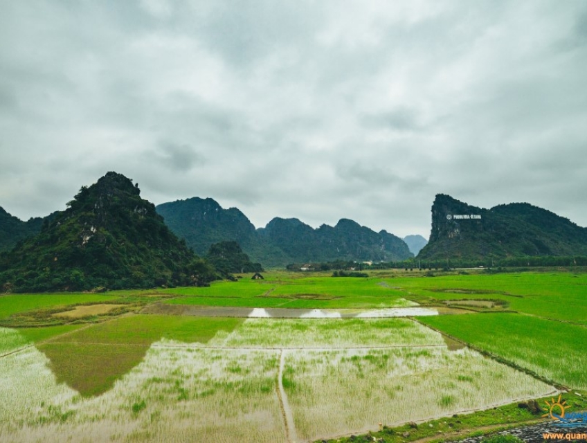 PHONG NHA KẺ BÀNG 7 THÔNG TIN CẦN THIẾT NÊN BIẾT