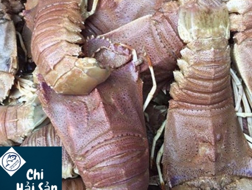 Tôm mũ ni giá bao nhiêu 1kg ? Bán ở đâu tươi ngon nhất ?