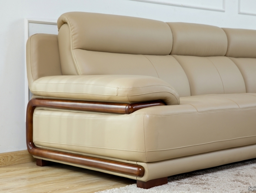 Chính sách nhập khẩu sofa da