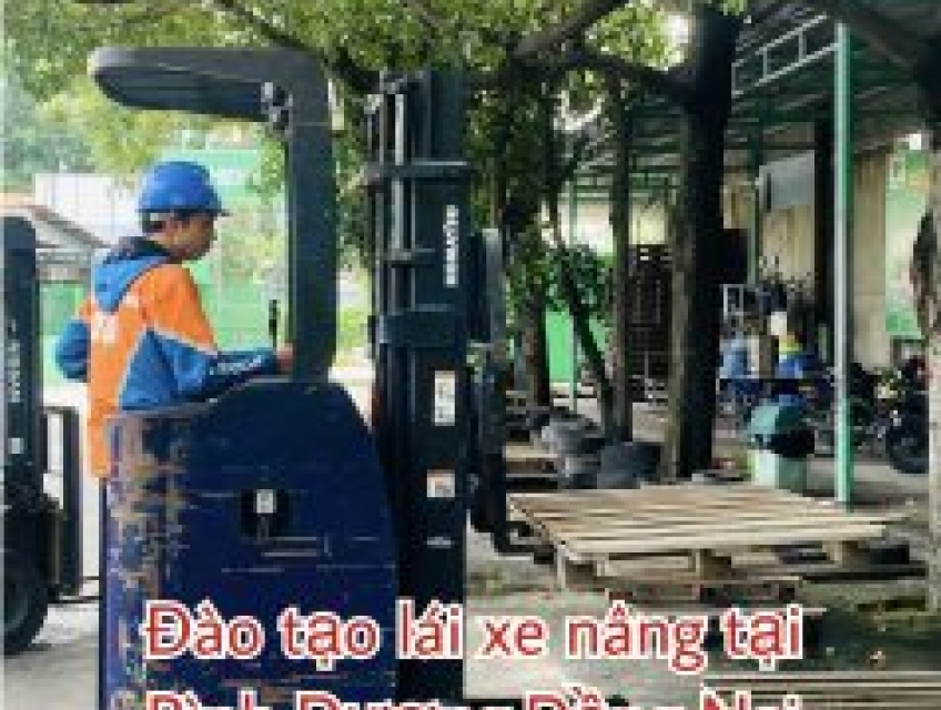 Đào tạo lái xe nâng giá rẻ uy tín tại Thủ Dầu Một, Bình Dương