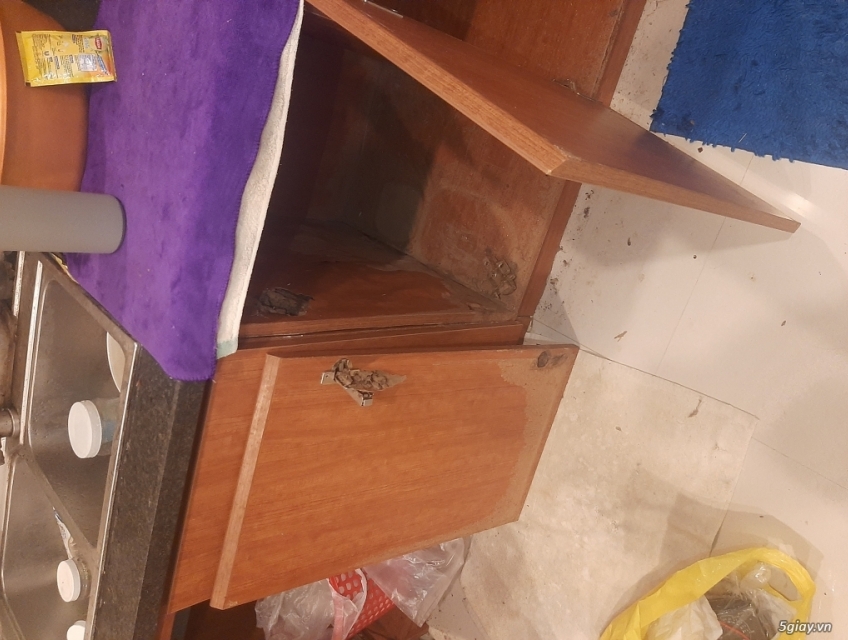 Diệt mối nội thất Nha Trang