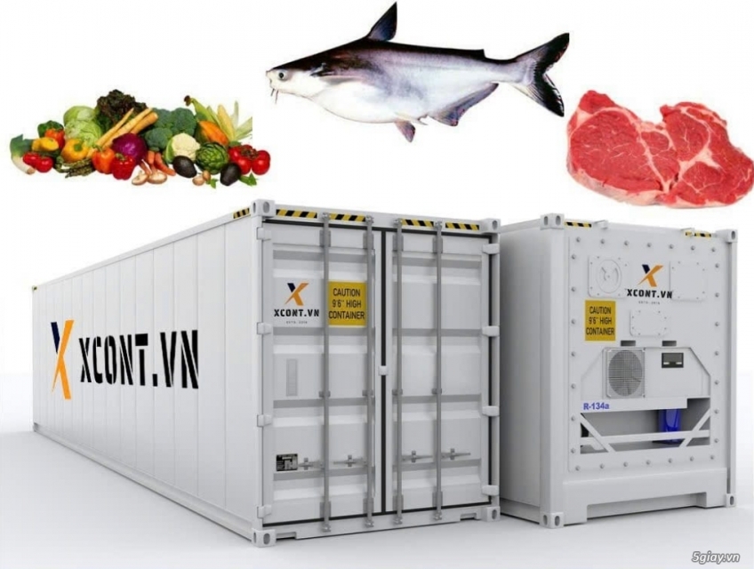Cont lạnh 20ft 40ft sẵn sàng phục vụ nhu cầu trữ hoa quả, thực phẩm