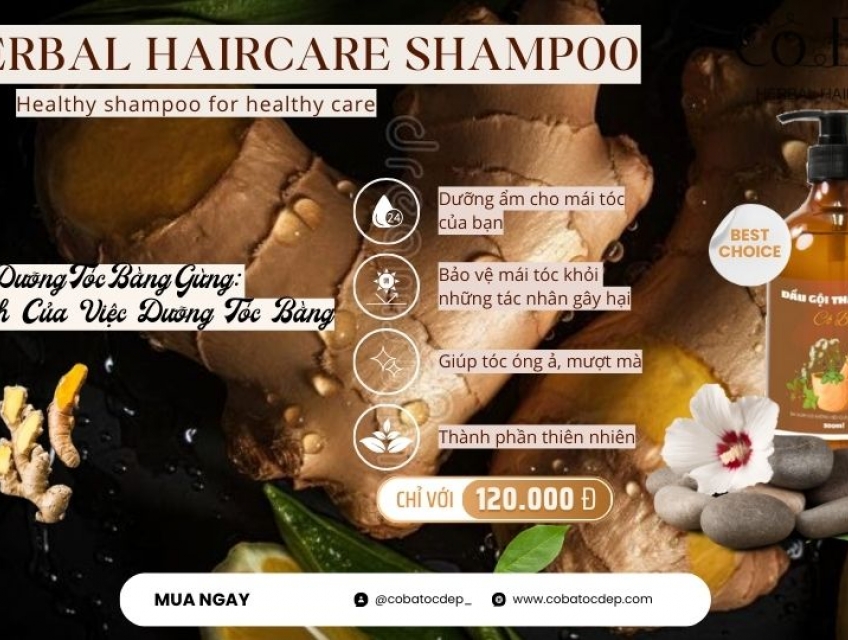 Cách Dưỡng Tóc Bằng Gừng Giúp Kích Thích Mọc Tóc Nhanh Chóng