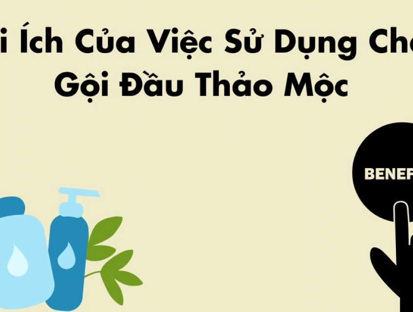 Chai Trị Gàu: Lựa Chọn Hiệu Quả Cho Da Đầu
