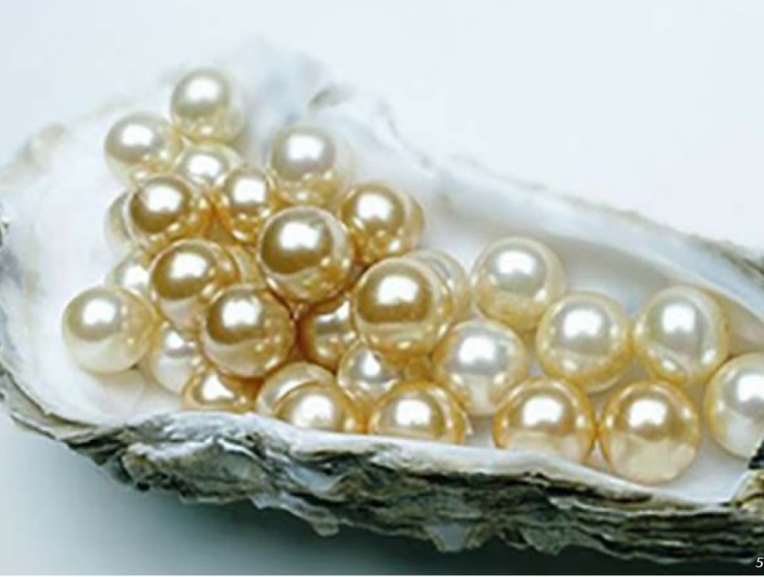Bột Ngọc trai Trân châu làm trắng sáng đẹp và trẻ hóa làn da