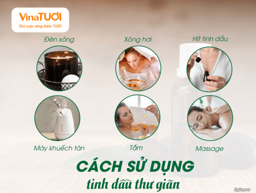 Tinh Dầu Thư Giãn – Bí Quyết Xua Tan Căng Thẳng Hiệu Quả