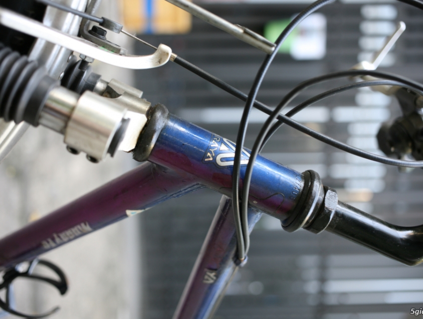 Xe đạp Araya Muddy Fox Spice Vintage Bicycle 4 sale