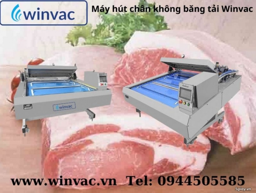 Máy hút chân không băng tải Winvac đóng gói thịt heo, thịt bò