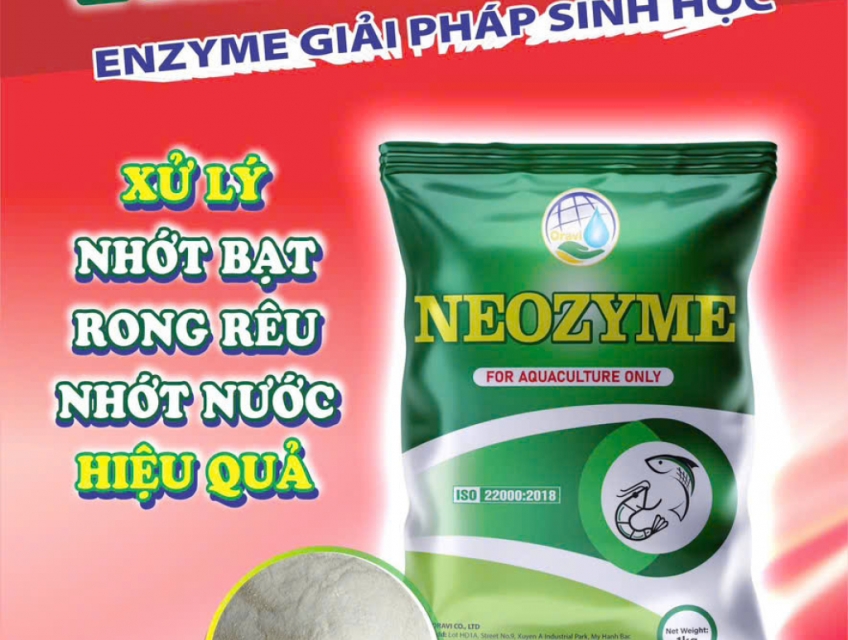 NEOZYME - ENZYME TẨY NHỚT BẠT, NHỚT NƯỚC, RONG RÊU TRONG AO NUÔI