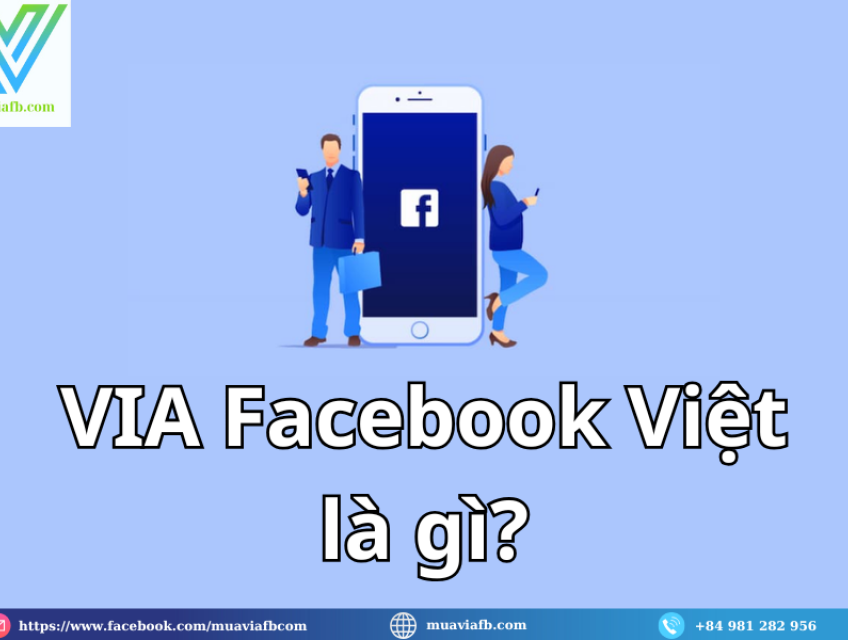 Khám Phá Mẹo Sử Dụng Via Facebook Việt Hiệu Quả