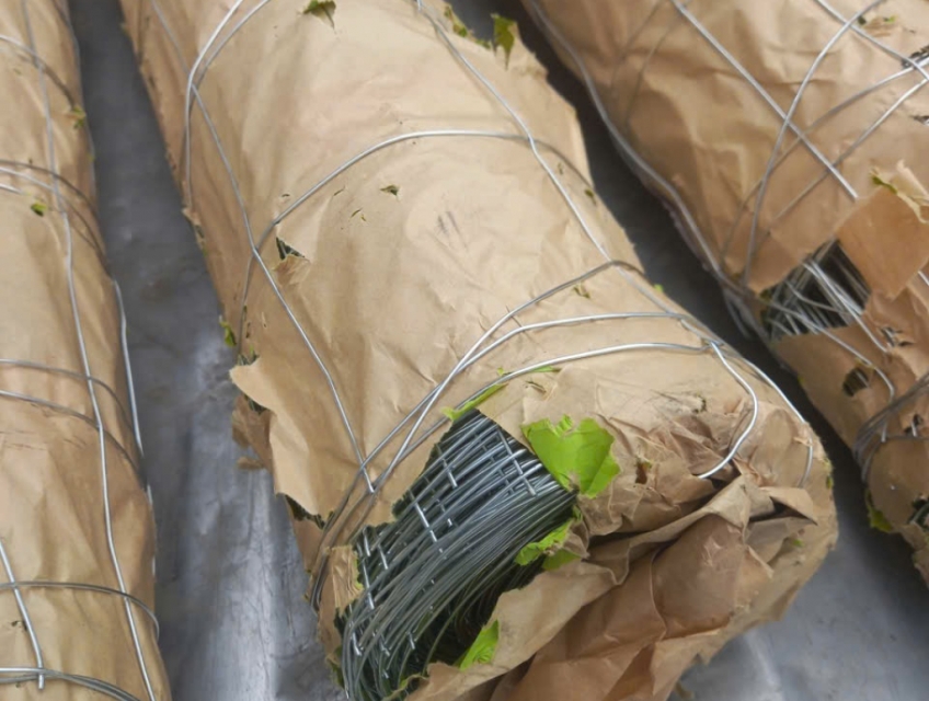 Lưới đỡ bông thủy tinh, Lưới thép hàn dây 1,2ly ô 100x100mm