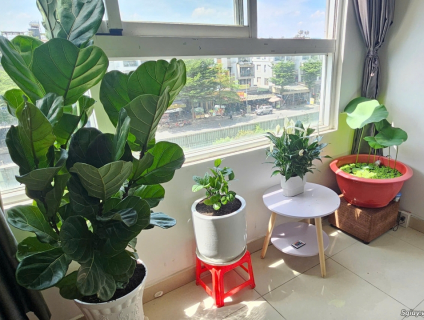 [Bán Chung Cư Quận 2] Phường Cát Lái, căn hộ Citi Soho sổ hồng