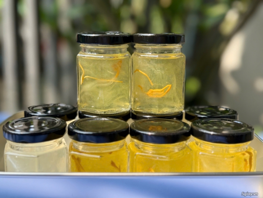 HCM_Combo 10 Hủ Yến Chưng Sẵn - Tặng 1 Hủ 75ml